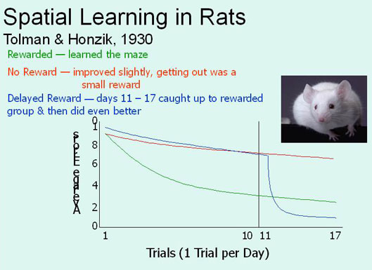 what was edward tolman experiment